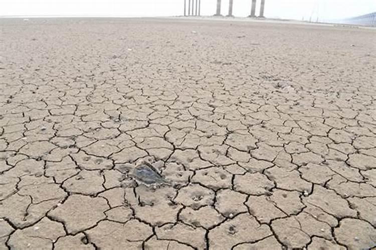 磷肥可以直接撒在地上吗