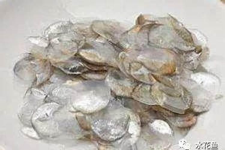 如何鉴别小苏打的真假？