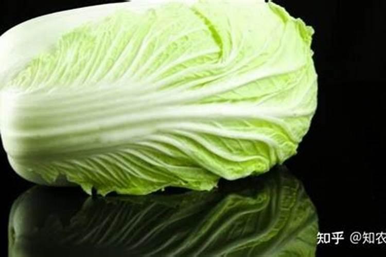 白菜追肥用什么肥料好