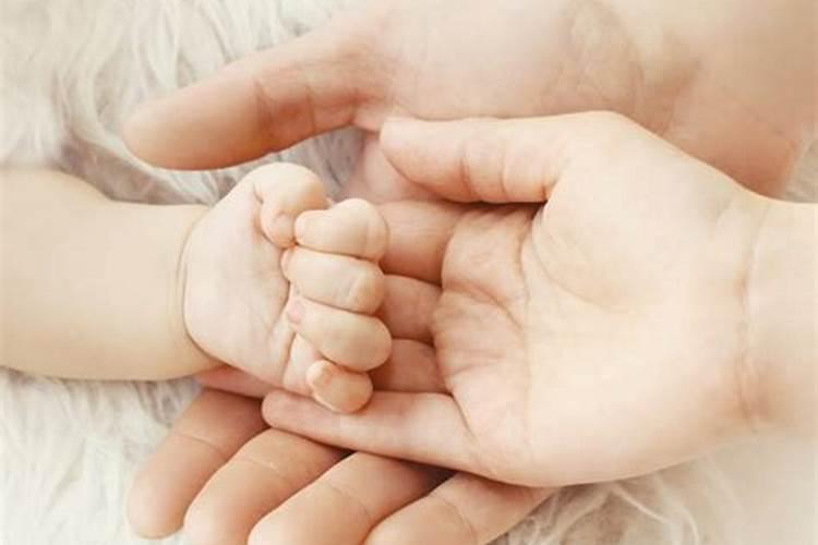 荷花粉的功效与作用有哪些？