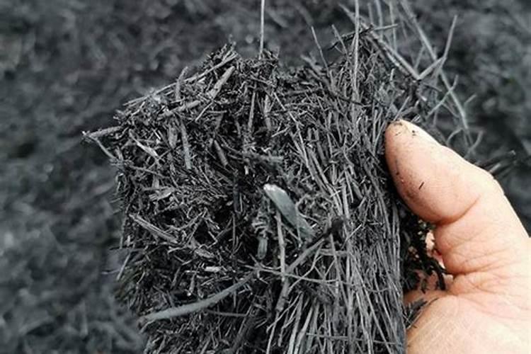 种菜最实用的肥料,是先下肥料还是先下种子