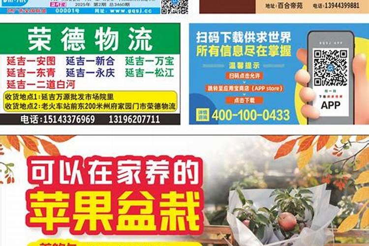 有什么办法可以让柑桔树新梢叶子快速转绿