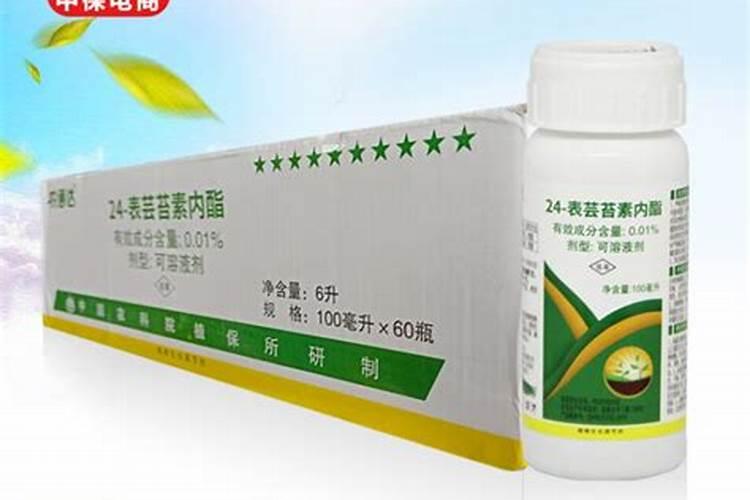 小麦打芸苔素好吗