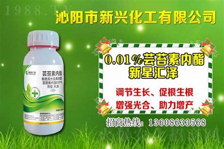 芸苔素内脂在大樱桃树上的具体使用配比