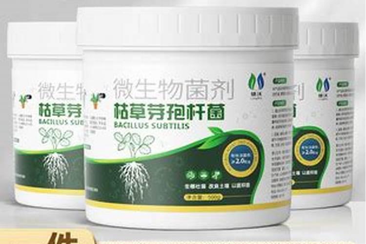 柑橘缺氮症是怎么发生的？