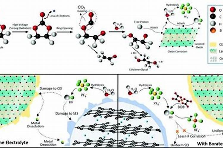 早春茬的大棚茄子更容易出现裂果,有哪些重要原因？