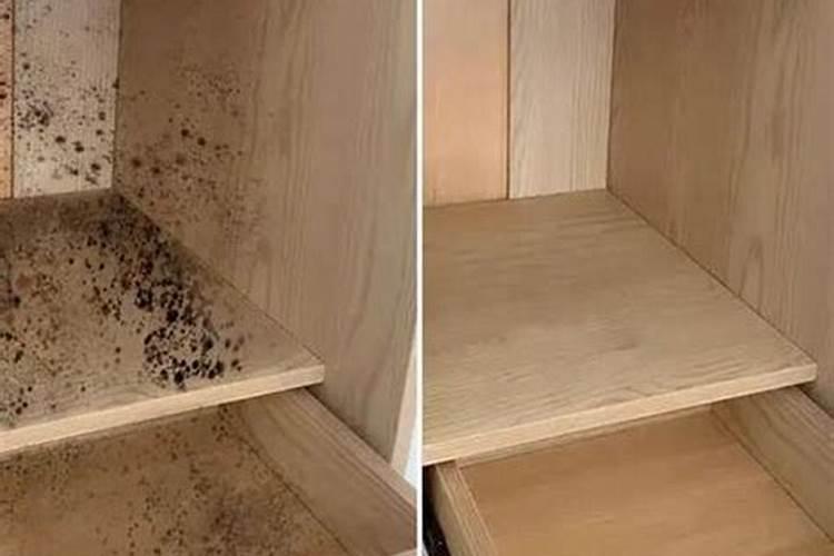 富贵竹叶子发黄干尖,枝条发黑干枯,水培有啥需要注意的？