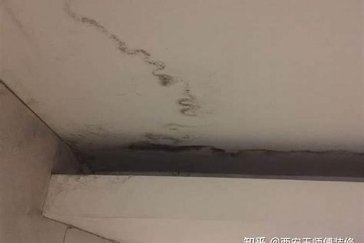 橘子发霉在家里怎么处理