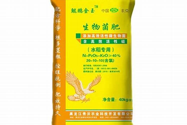 樱花树的生长环境和特点在哪里？