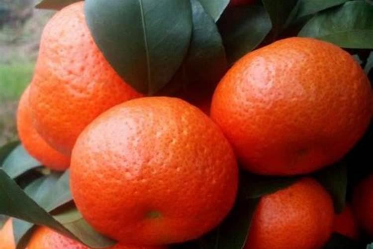 柑橘转色剂配方