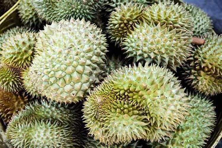 尖椒苗长势好只见开花就是不结果是什么兏因？要用什么方法来解决让它结果...