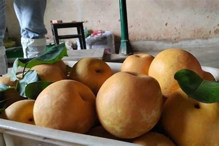 九江地区旱地栽种的水果有哪些？