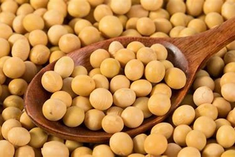 厨余垃圾水溶肥的制作与使用