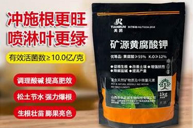 养花用矿原黄腐酸钾比例多少最好
