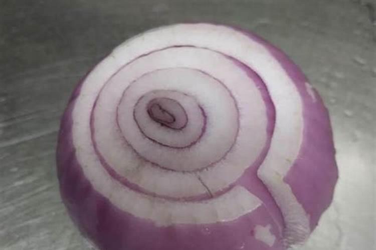 洋葱不能和什么一起吃