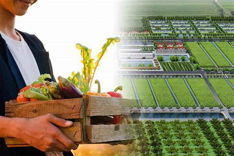 发酵菜籽饼厂家