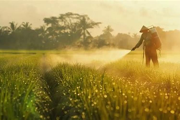 蓝莓叶子发红,有斑点是怎么回事？