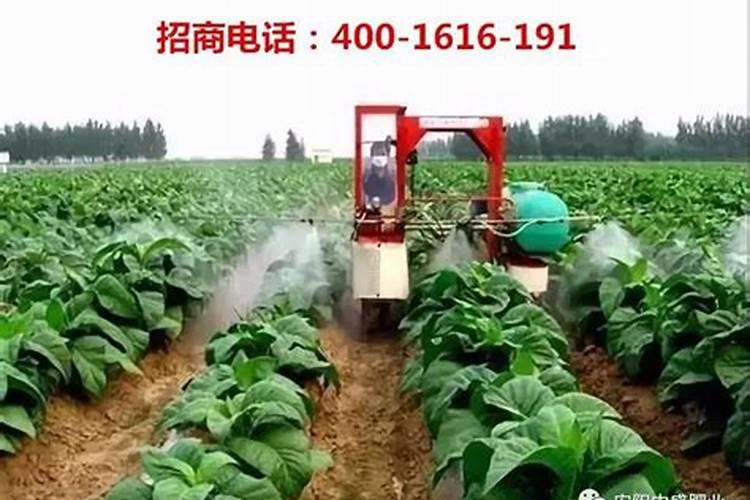 大量元素水溶肥的正确使用方法