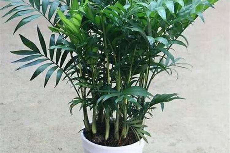 农用肥料里的氧化钾有什么作用