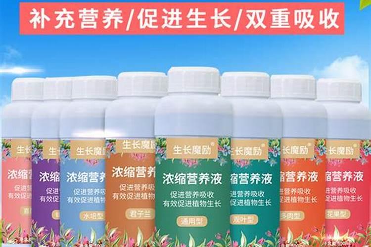 推荐一些适合茉莉花的水溶肥品牌
