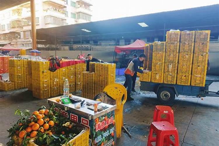 天脊16620硝酸钾水溶肥的批发价格是多少？