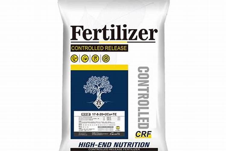 盆栽三角梅,首选这11种,色美花多,都是真正的“勤花品种”