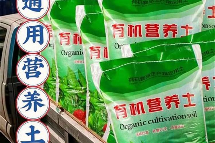 营养土可以直接种菜吗