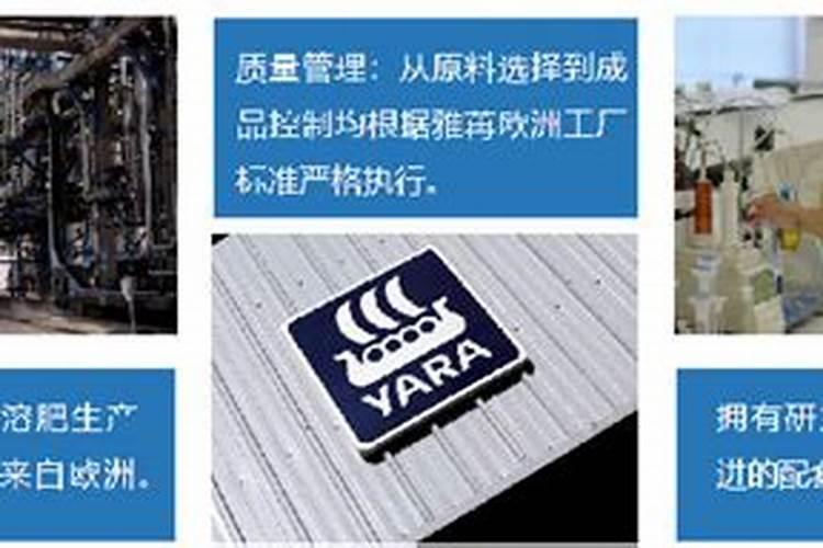 绣球花怎样调色？