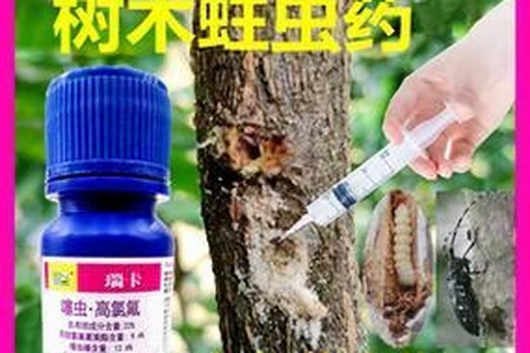 葡萄春天的最佳施肥期是什么时候