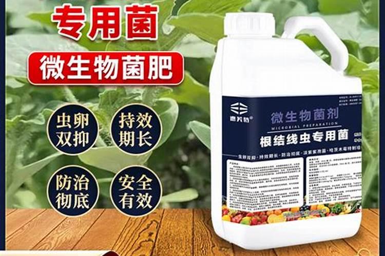 什么蔬菜含锌量最高