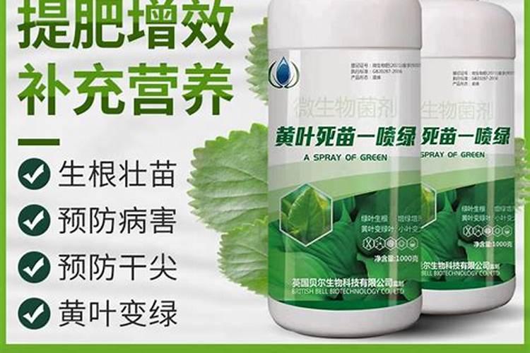 什么肥料可使树干粗壮？喜满地水溶肥效果好吗？