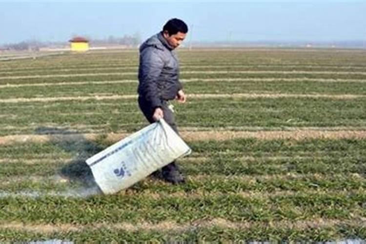 种植山药氮肥什么时候施磷肥什么时候施钾肥什么时候施