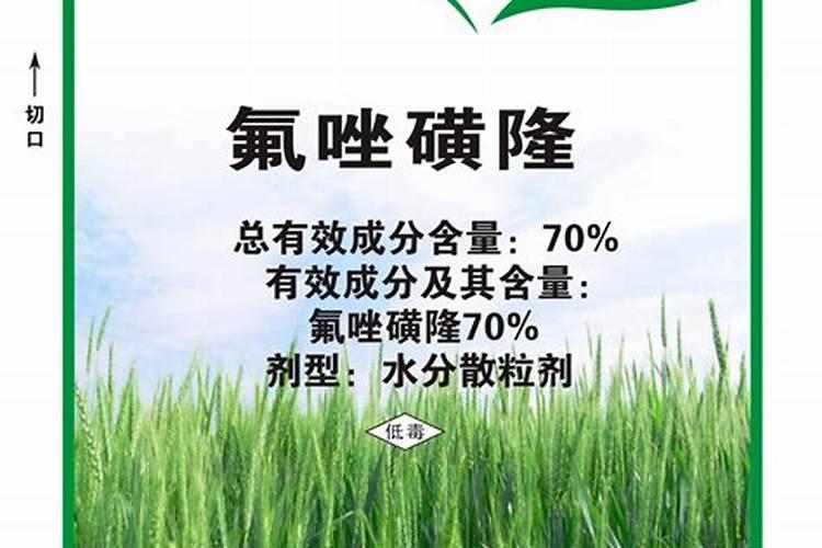 小麦拔节后 禁止使用这些除草剂