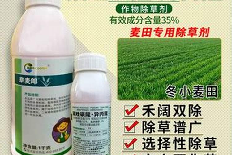 锄杂草丕什么配什么最好