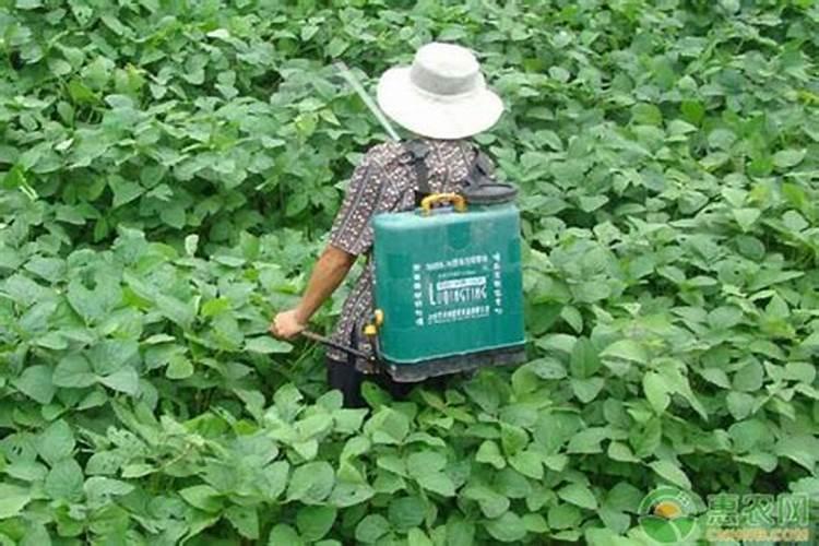 希黎思水溶性硅素增发有用吗