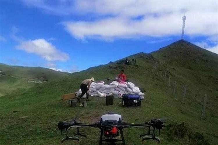 牧草甜高梁苗后用什么除草剂？