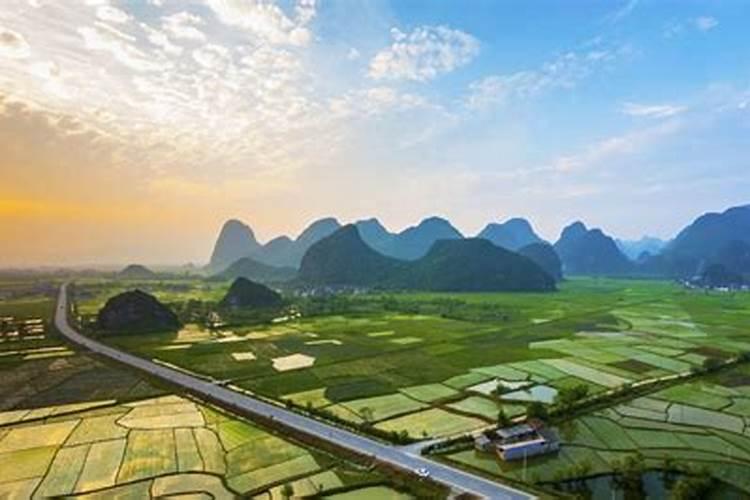 养花土壤调酸最好方法  腐植酸能调偏酸土壤吗