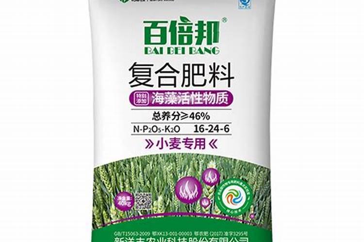 观叶植物专用肥料是什么