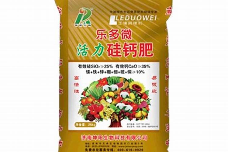 问一下各位老师,小吊瓜栽了快一个月了,长的太细了,需要怎么办了