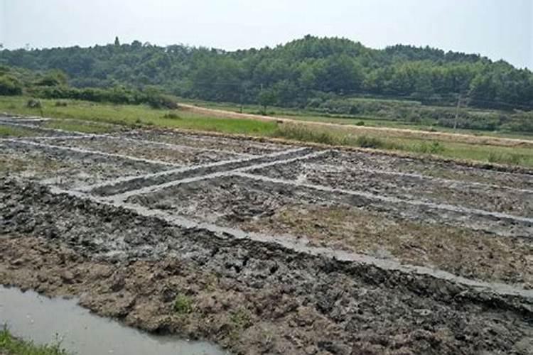 冷浸田改良措施