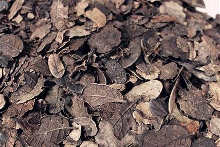 自制氮肥有哪些,用什么可以自制氮肥呢