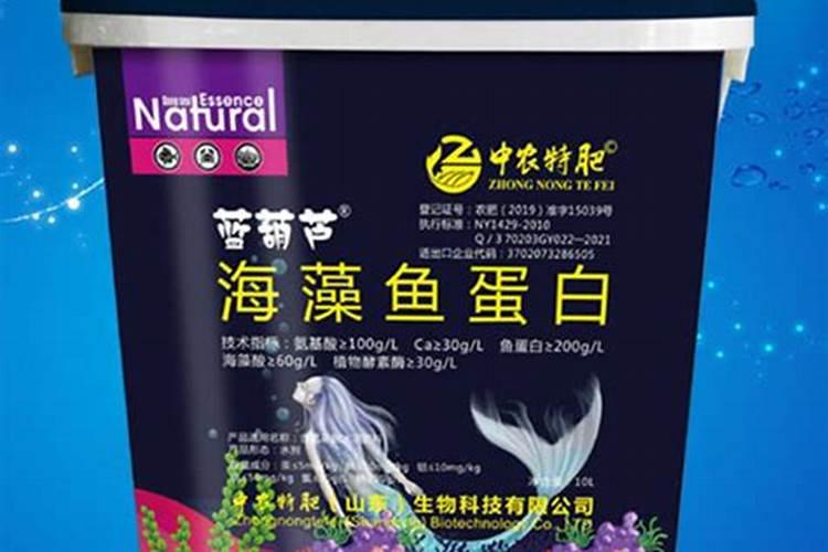 三峡肥鱼为何不建议吃,优缺点是什么