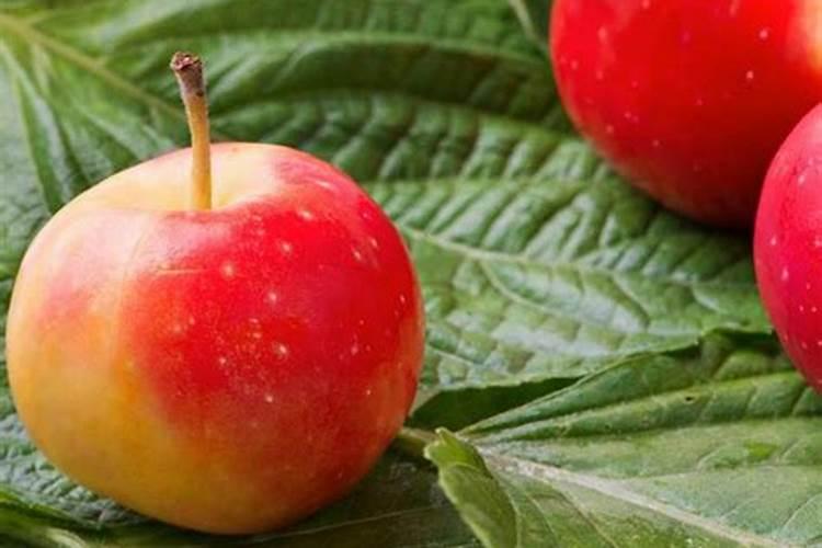 桃树亩产多少钱？桃树每亩的种植成本和利润