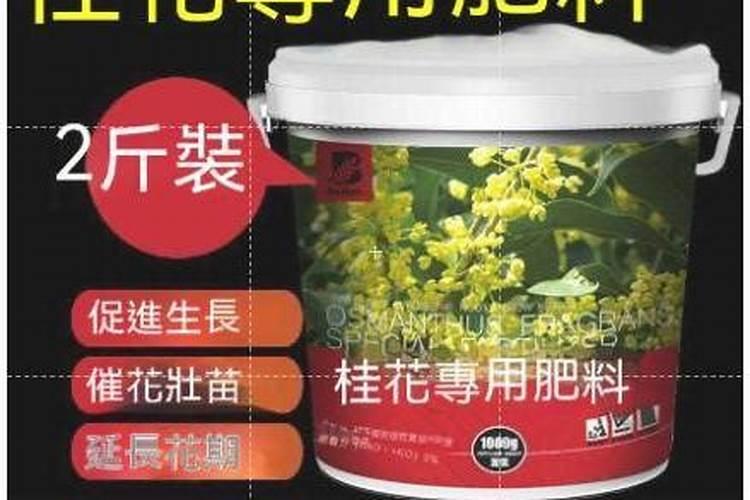 氮肥促进果树开花结果吗