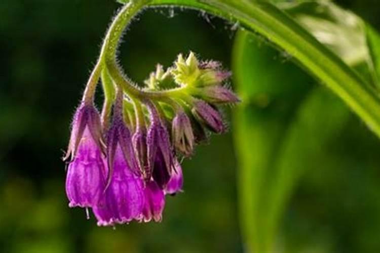 关于肺癌的问题