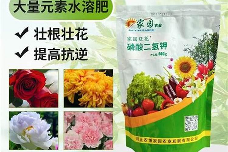 绿陇的叶动力叶面肥好吗