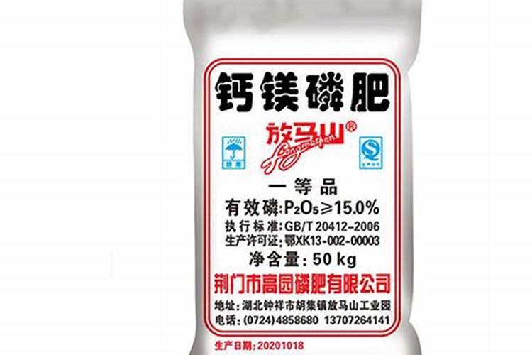 大杉木树应该施什么肥料