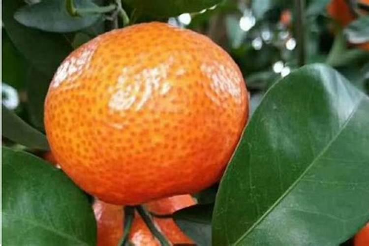 水肥发酵方法,水肥是酸性还是碱性