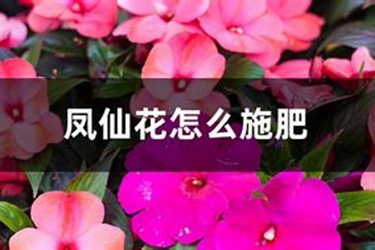 樱桃开花后用什么肥？