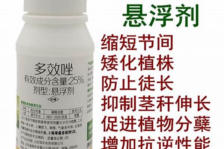 多效唑与叶面肥能混用吗